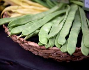 Сад и огород на Капитолийском холме 