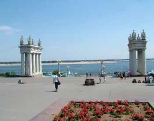 В Волгограде сохранят сочинские редкие растения