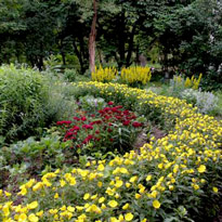 Миксбордер: планировка