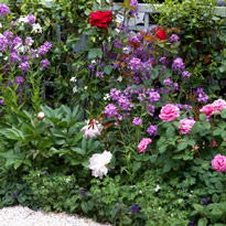 Миксбордер: планировка