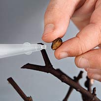 Салфетница Веточки вербы. Шаг 7