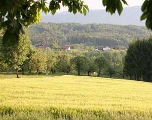 Ученые ищут путь к изобилию