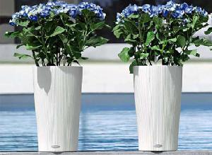 Lechuza - уникальное кашпо