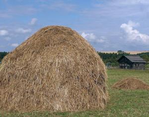 Украинцы возвращаются в соломенные дома