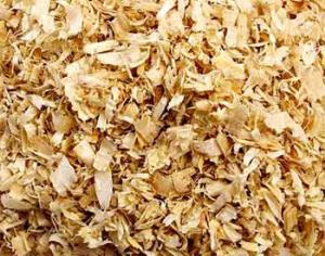 Найдены дрожжи, превращающие дерево в спирт