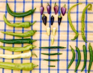 Из бесконечности приготовили соус