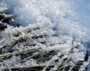 Европу ждет самая холодная зима тысячелетия?