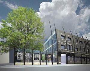 "Панда-дом" выиграл