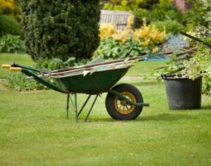 Принц Чарльз показал свой огород