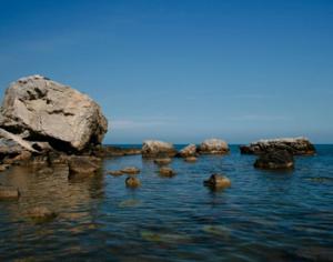 Австралийский ученый предлагает распродать океан