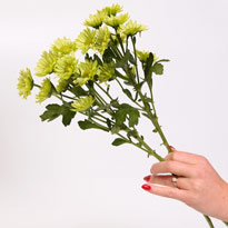 Осенний букет. Шаг 2