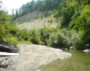 Дети с ограниченными возможностями создали в Сочи парк скульптур