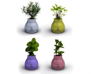 Колыбельная для цветка