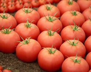 Томатный музей в Италии