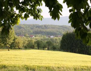 В Подмосковье появятся центры экотуризма                                                   