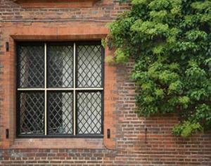 Европейские компании ценят деньги больше, чем экологию