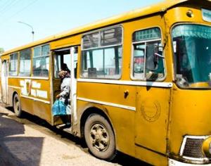 Озеленять улицы можно при помощи автобусных крыш