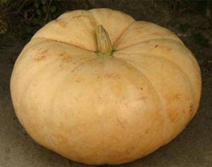 От полетов в космос овощи становятся вкуснее