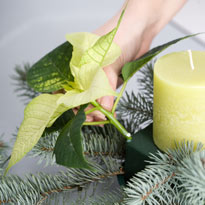 Новогодний настольный венок с орхидеями и еловыми ветками. Шаг 2