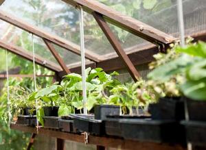 Теплицы: фундамент, каркас, покрытие