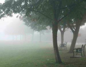 В Москву возвратился смог