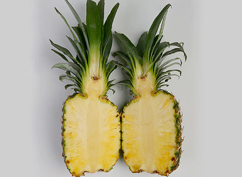 Ананас, Ananas 