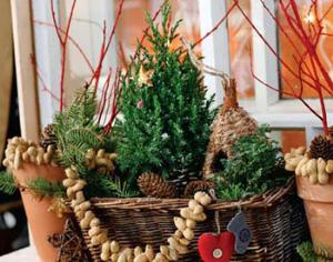 "Рождественская сказка" в Тимирязевском музее