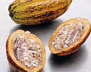 Ученые "раскололи" землянику и какао