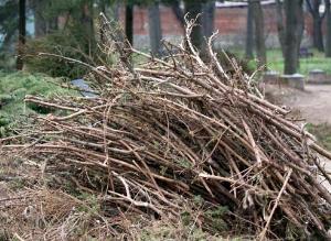 Садовый измельчитель: зачем он нужен