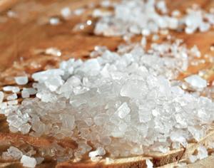 Ученые поняли, как адаптируются растения