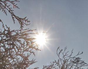 Солнце вращается вокруг Земли или научные заблуждения россиян