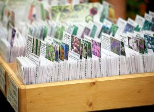 Сорт и гибрид