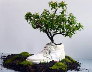 В продаже появятся цветущие кеды