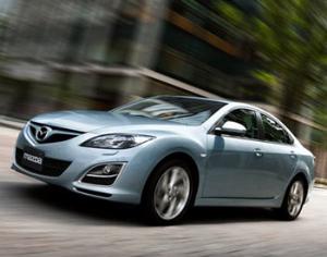 Пауки стали причиной отзыва машин