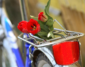 багазник велосипеда цветы