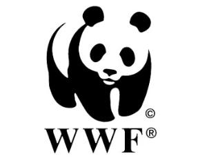 WWF России исполнилось 20 лет