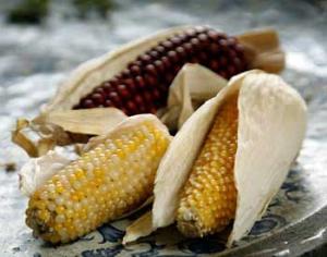 Глобальное потепление ударит по урожаям кукурузы