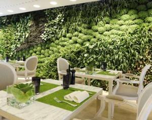 Открыт ресторан с живыми стенами 