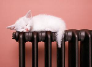 Радиатор: гармошка или пластинка