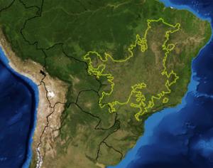 Сахарный тростник охлаждает Бразилию