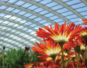 Британская теплица занимается самоконтролем