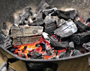 Пикник в лесу может стоить штрафа