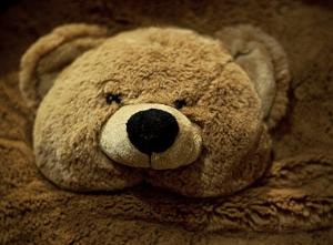 Выставка медведей ручной работы откроется в Перми