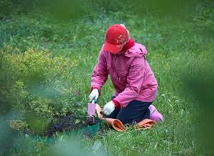 Еще не вечер -возраст в активе