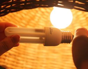 В Петербурге появились лампочки Медведева