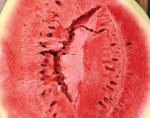 В Китае взрываются арбузы