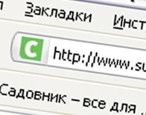 Сотовые операторы: кто лучше в Подмосковье?