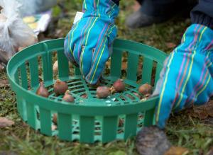 Выбираем перчатки