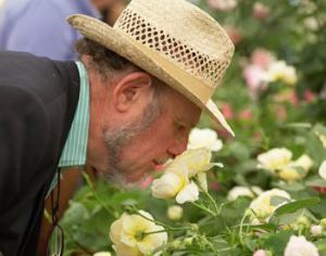 В Лондоне работает выставка цветов Chelsea Flower Show