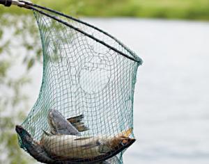 Изобретателю орудия рыбной ловли — приз